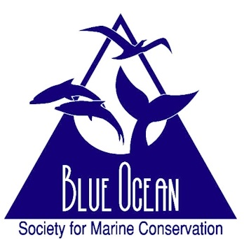 Blue Ocean Society for Marine Conversation Logo