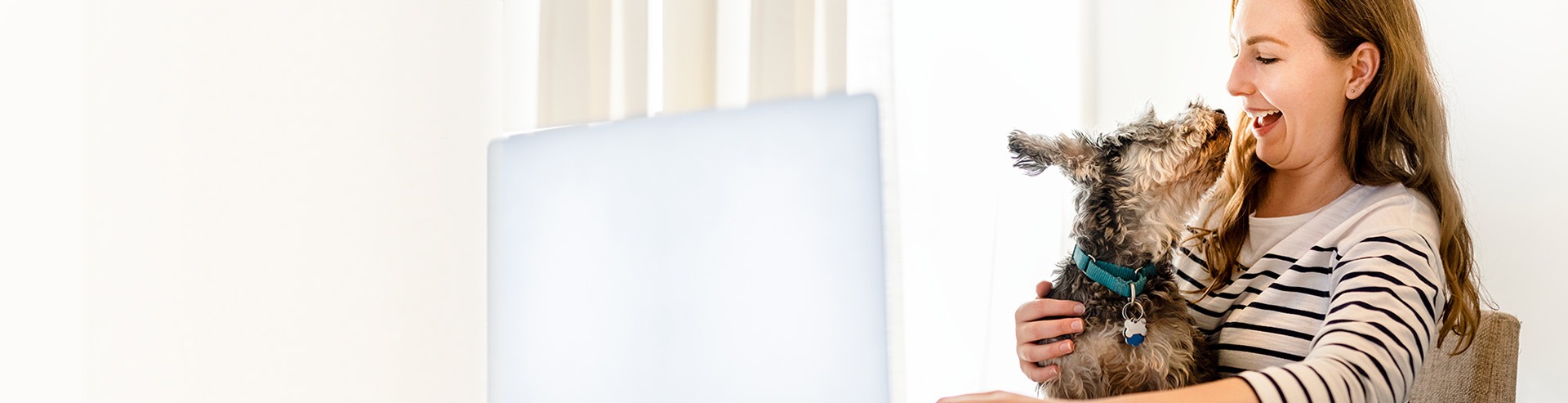 Woman being interrupted by dog while browsing on laptop