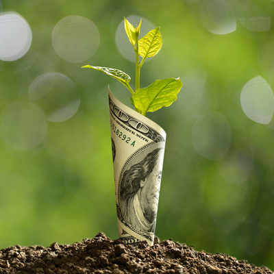 Plant growing out of mound of dark with a one-hundred-dollar bill wrapped around it