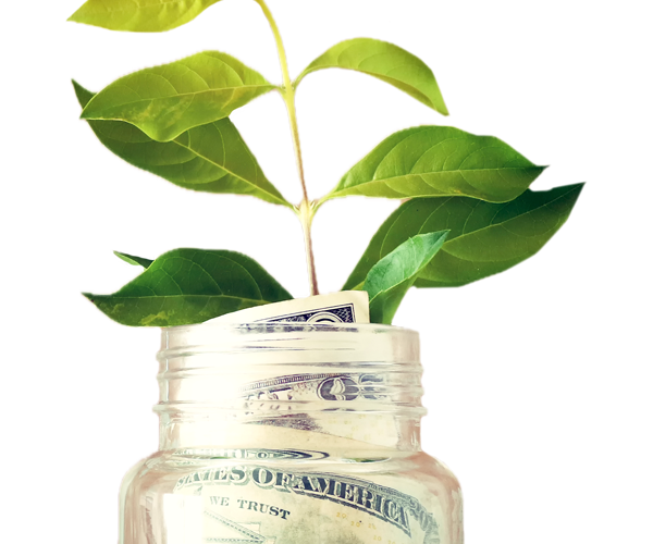 Glass jar full of money with a plant growing from the opening at the top.