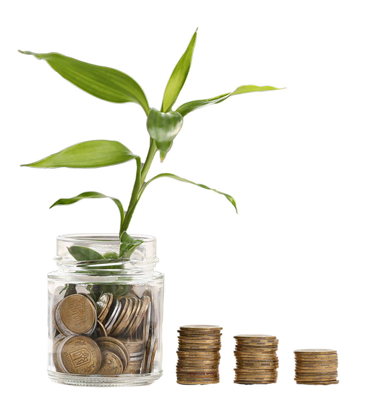 Coins stacked in a pile leading up towards a jar of coins with a plant in it